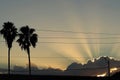Sunset with Sun Rays and Palm Trees Royalty Free Stock Photo