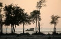 Sunset in the Sundarbans Royalty Free Stock Photo