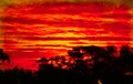 Vivid Red Sunset Royalty Free Stock Photo