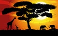 Sunset or Sunrise in Africa with the silhouettes of trees, grass, flying birds, elephants, giraffes, national home and native. The Royalty Free Stock Photo