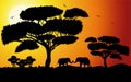 Sunset or Sunrise in Africa with the silhouettes of trees, grass, flying birds, elephants, national home and native. The beautiful Royalty Free Stock Photo