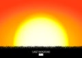 Sunset or sunrise background with black grass silhouette. Burning sun sets over the horizon. Evening dawning background