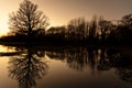 Sunset or Sunrise Behind Trees In a Flooded Field Royalty Free Stock Photo