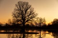 Sunset or Sunrise Behind Trees In a Flooded Field Royalty Free Stock Photo