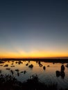 Sunset and sunrise blue sea beautiful seascape panorama. Composition of nature abstract background