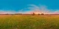 Sunset or sunrise in the green field with blue sky with pink color. 3D spherical panorama with 360 viewing angle. Ready for virtua
