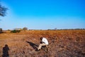 Sunset Sunrise Landscapes Nature Grassland Savanna Nyambene Hills Meru National Park Meru County Kenya East Africa