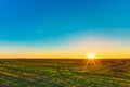 Sunset, Sunrise, Sun Over Rural Countryside Wheat Field. Spring Royalty Free Stock Photo