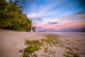 Amazing tropical beach sunrise or sunset landscape, palm trees and colorful sky. Royalty Free Stock Photo