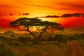 Sunset and sunrise in the Tsavo East and Tsavo West National Park