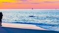 Sunset Sunset and fur seals on the beach on north side of the Provincelands Cape Cod, Atlantic ocean view MA US Royalty Free Stock Photo