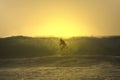 Sunset surfer cross a wave Royalty Free Stock Photo