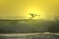 Sunset surfer falling