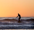 Sunset Surfer in silhouette riding a wave on Southern California beach Royalty Free Stock Photo