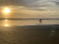 Sunset surfers at the beach