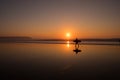 Sunset Surfers Royalty Free Stock Photo