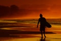 Sunset surfing Royalty Free Stock Photo
