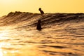 Sunset surfing in Japan images taken from the water in the Pacific ocean