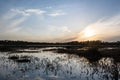 Sunset on the Suurlaugas forest lake, Selisoo upper swamps, Estonia Royalty Free Stock Photo