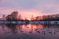 Sunset on the Svetloye lake, where wild whooper swans winter. Altai territory