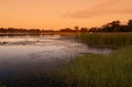 Sunset swamp Royalty Free Stock Photo