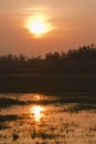 Sunset on swamp in Terai, Bardia, Nepal Royalty Free Stock Photo