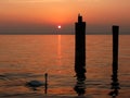 Sunset Swan on the lake Royalty Free Stock Photo