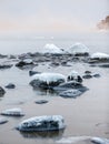 Sunset swans Royalty Free Stock Photo