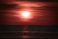 Sunset, swans swimming in the illuminated sea. Light waves. Nature photo,Baltic Sea Royalty Free Stock Photo