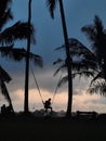 Sunset swing with Shilouete coconut trees Royalty Free Stock Photo