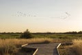 Sunset in the tables Daimiel, Ciudad Real, Spain Royalty Free Stock Photo