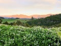 Golden Bay Sunset, Takaka, New Zealand