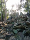 The sunset at Taprohm Temple in Angkor Archeology Park. Royalty Free Stock Photo