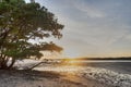 Sunset in the Ten Thousand Islands