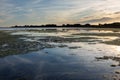 Sunset on the Thau pond towards La Conque in Meze - Herault - Occitania - France