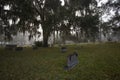 Sunset through thick fog in a cemetery