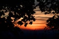 Sunset though trees in the Chiltern Hills Royalty Free Stock Photo