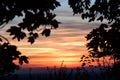 Sunset though trees in the Chiltern Hills Royalty Free Stock Photo