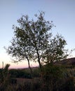 Sunset time in a moroccan village