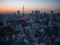 Sunset Tokyo Tower View from the World Trade Center Observatory