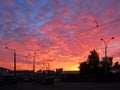 Sunset tomorrow. Black street lights, tram on tramway Royalty Free Stock Photo