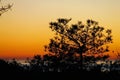 Sunset, Torrey Pines State Park, California Royalty Free Stock Photo
