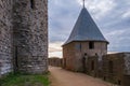 Sunset on The tower named Tour du Grand Camisou in the CitÃÂ© of Carcassonne, the fortified city of Carcassonne, Aude, France