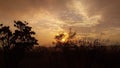 Sunset tree clowds bushveld Royalty Free Stock Photo