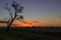 Sunset and a tree far deep in Argentina