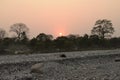 sunset upon the tree line at jayanti river bank