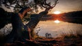 Sunset tree pond Royalty Free Stock Photo