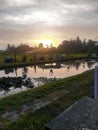 Sunset and the tree, sunset reflection on the river Royalty Free Stock Photo