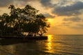 Sunset and  tree silhouette in Bailan beach Royalty Free Stock Photo