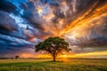 Sunset with Tree and Storm Clouds Royalty Free Stock Photo
